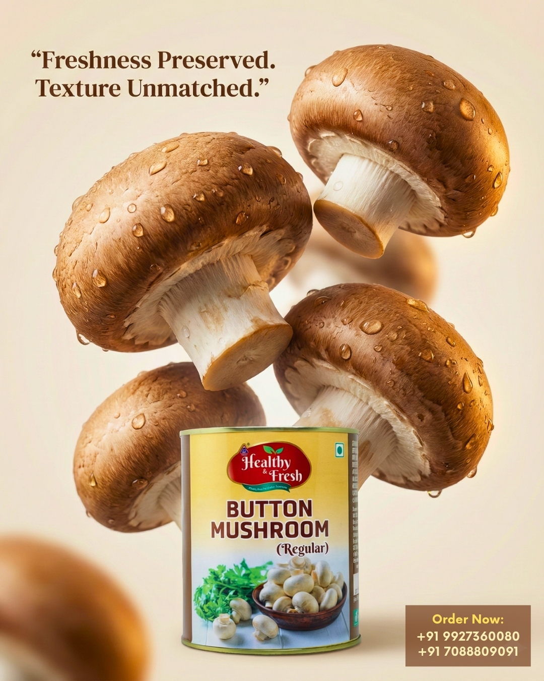 Our Portfolio Work 8